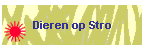Dieren op Stro