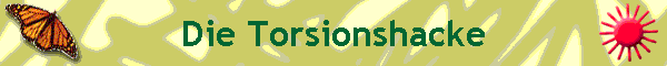 Die Torsionshacke