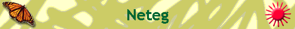 Neteg