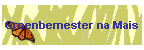 Groenbemester na Mais