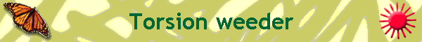 Torsion weeder