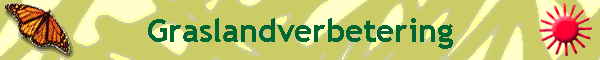 Graslandverbetering