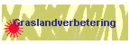 Graslandverbetering
